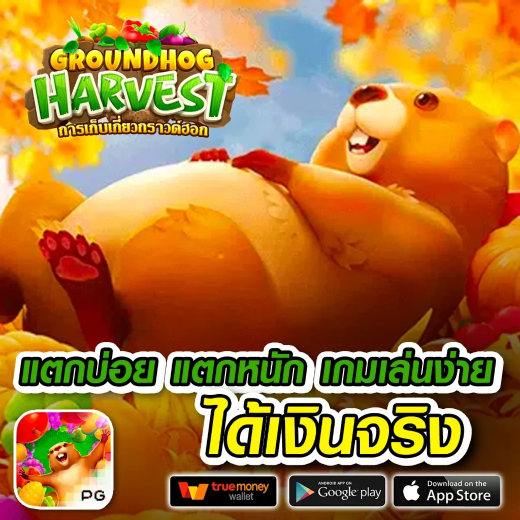 winstar มาแรง